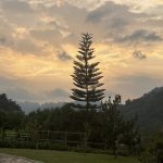 真巖寺祈安報恩梁皇法會